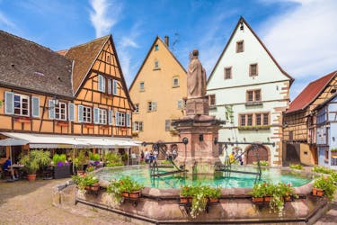 Villages and wines of Alsace private half-day tour from Colmar